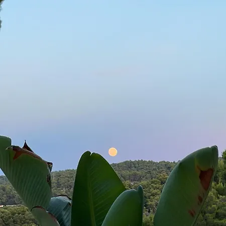 Petra Maris Bed & Breakfast Peschici