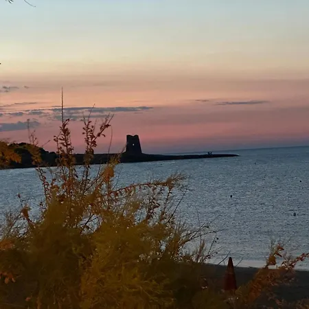 Petra Maris بيسْكيتْشّي