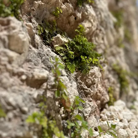 Petra Maris 3* Peschici