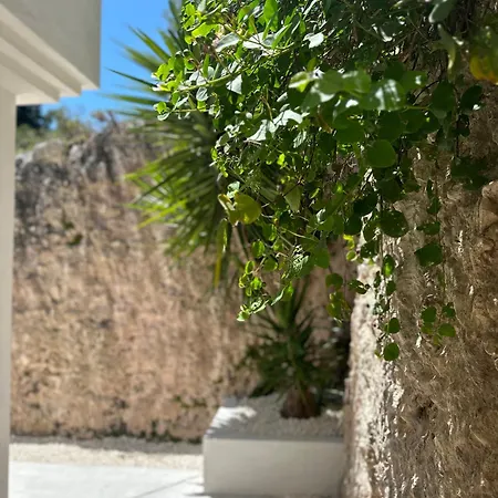 Bed & Breakfast Petra Maris 3*