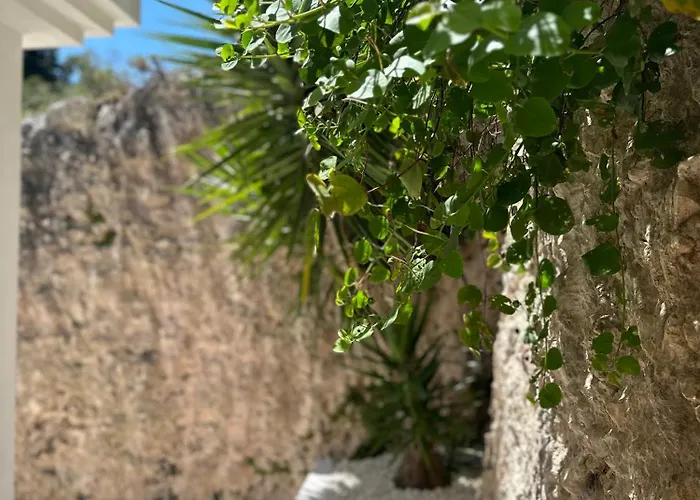 فندق مبيت وإفطار Petra Maris 4*